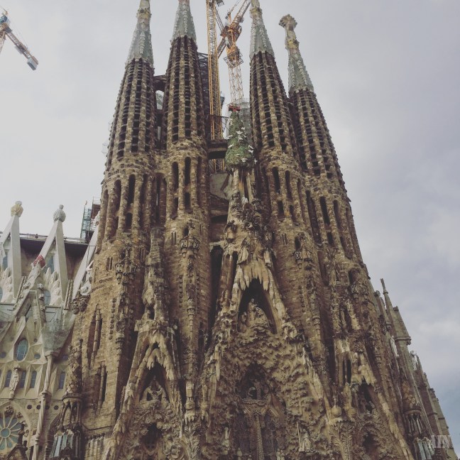 Photo-21-07-2018,-12-04-36