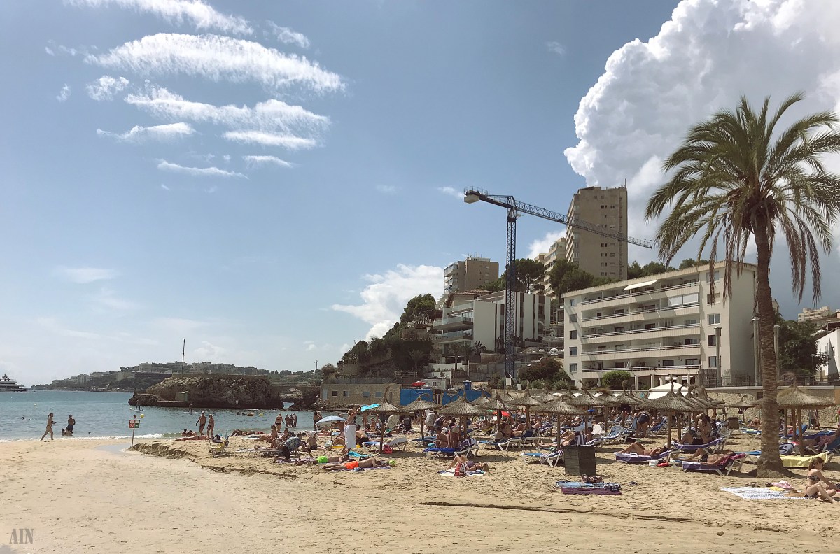 Week in Palma de Mallorca&nbsp;[3].