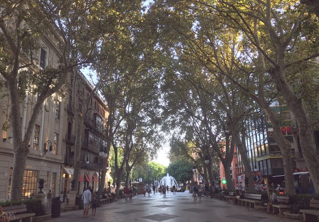 Photo-11-09-2018,-18-41-01