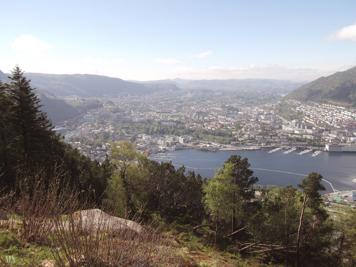 Norway during the&nbsp;COVID-19.