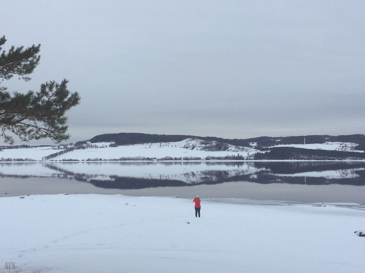 A walk in&nbsp;Hamar.