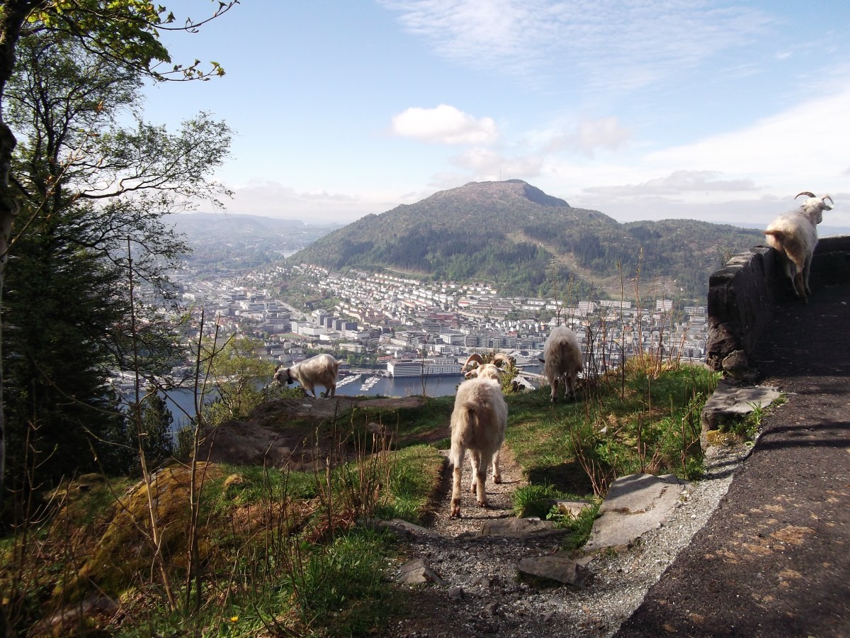 My best photos&nbsp;[1].