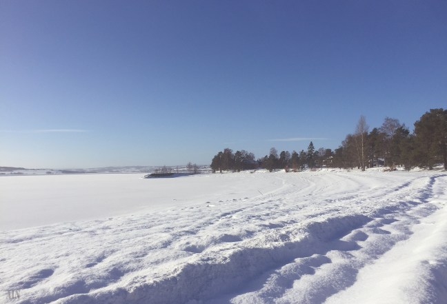 IMG-4466.JPG