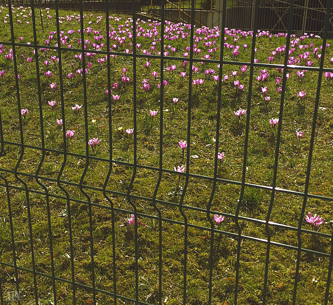 The time I came back&nbsp;home.