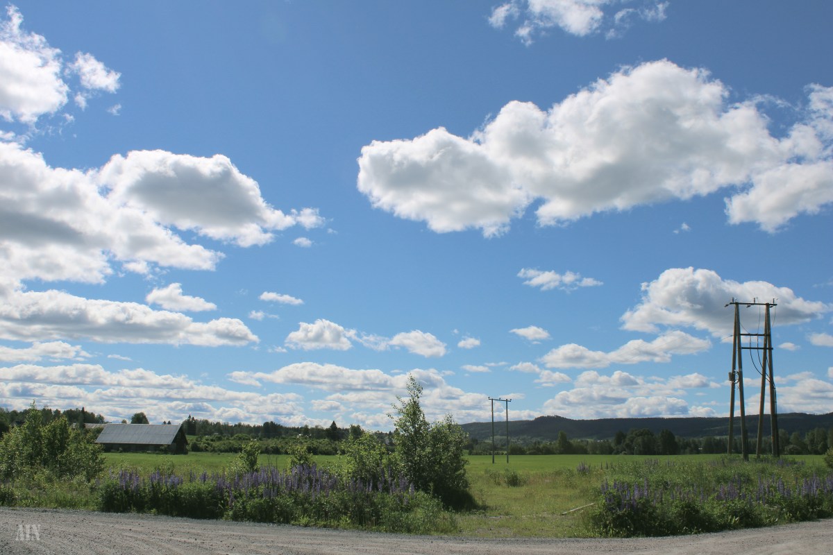 A couple of days in&nbsp;June.