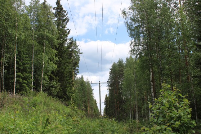 6521669260591392336_img_0390