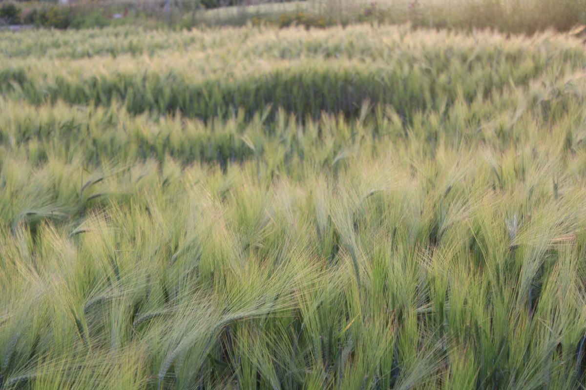 What I don’t like about&nbsp;Norway.