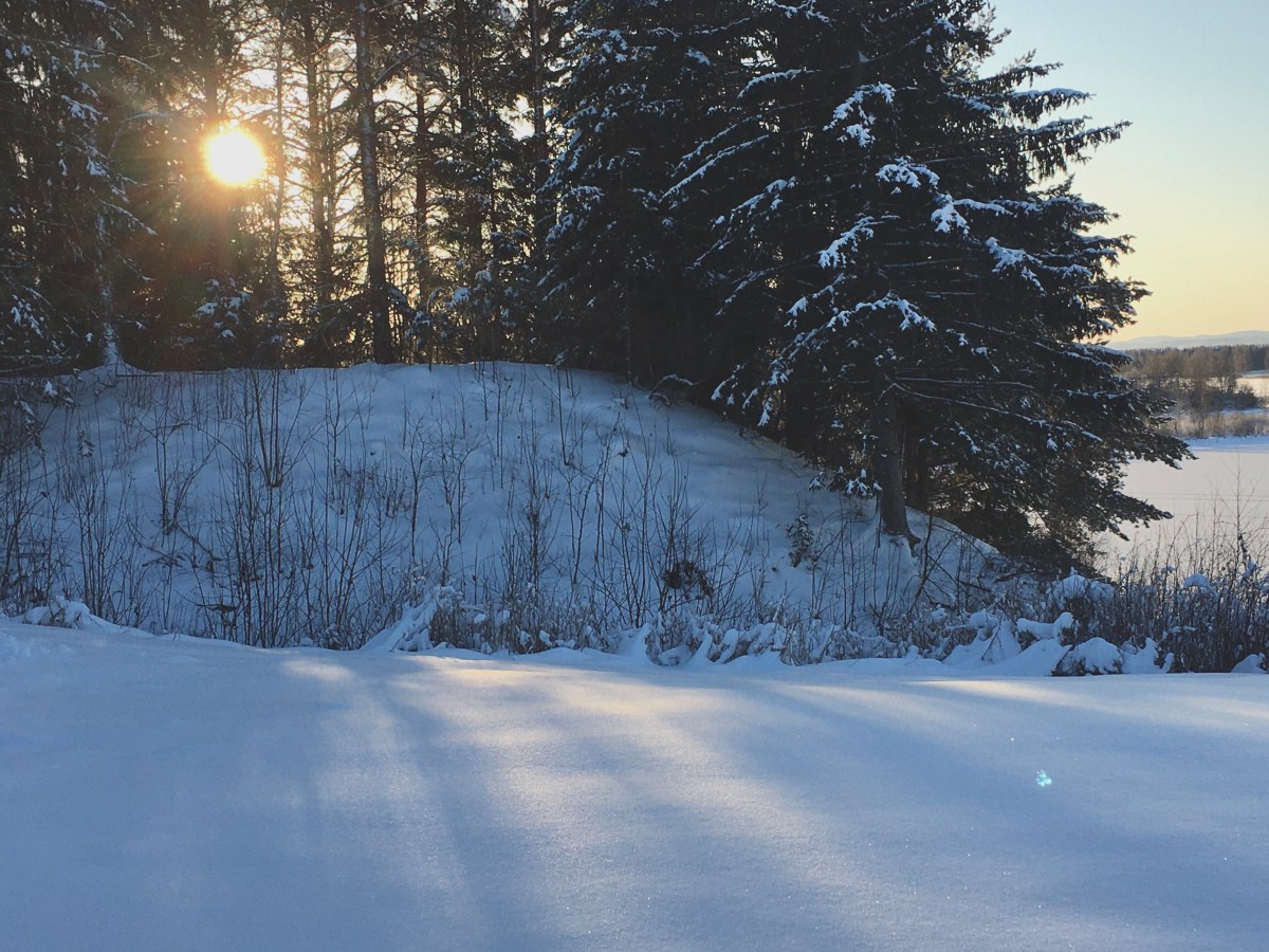 Blogmas 1: 30 days of no&nbsp;Sun.