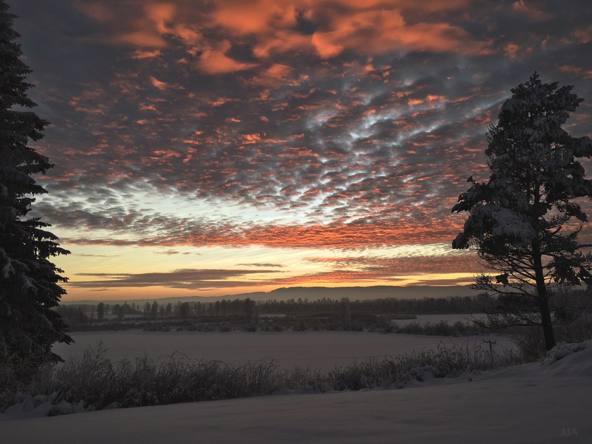 Blogmas 2: Nacreous clouds & amazing&nbsp;sunsets.