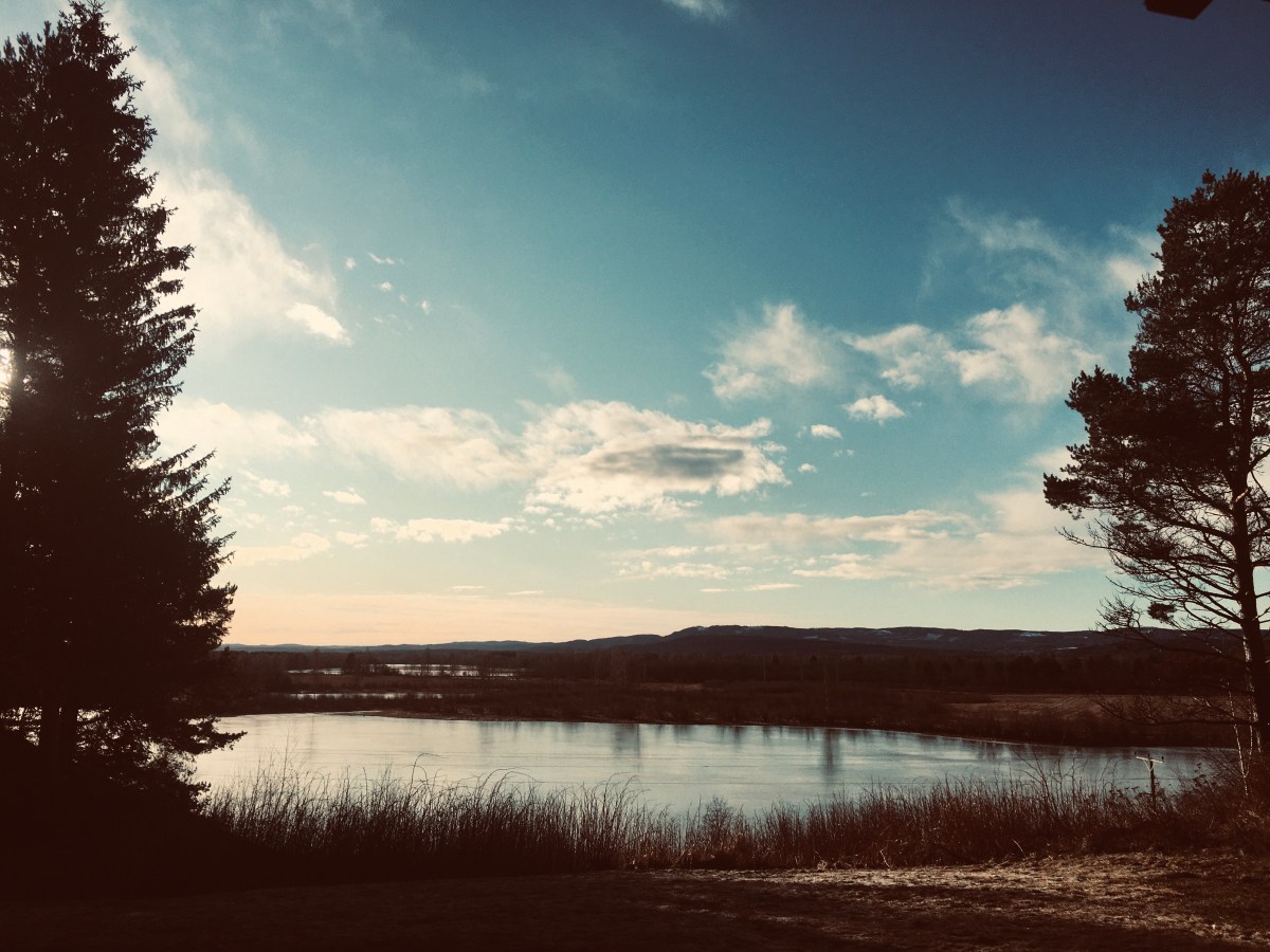 Too warm for&nbsp;winter.